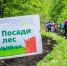Проект «ПосадиЛес» - Администрация Лиманского района