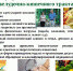 Центр общественного здоровья Астрахань информирует. Профилактика заболеваний желудочно-кишечного тракта - Администрация Лиманского района