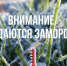По данным Астраханского ЦГМС ночью и утром 09.04, 10.04 местами по Астраханской области ожидаются заморозки в воздухе и на поверхности почвы -2… -1°. - Администрация Лиманского района