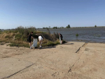 Летние каникулы не мешают школьникам оставаться активными участниками жизни своих населённых пунктов